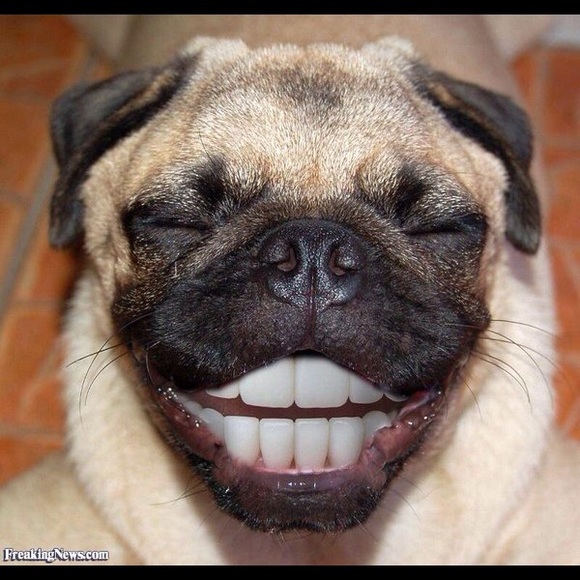 Meet your Posher, Debbie - Picture 1 of 1